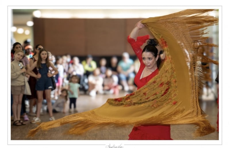 Gallery photo 2 of Ritmo Flamenco