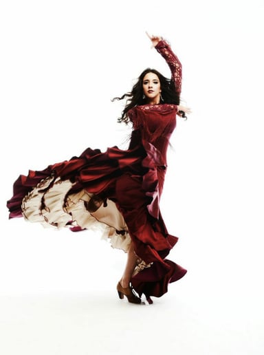 Gallery photo 8 of Ritmo Flamenco