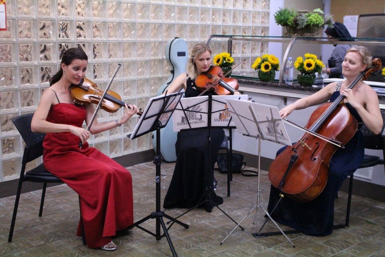 Gallery photo 1 of Ritmovivo Violinist