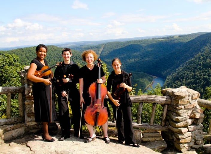 Gallery photo 1 of Riverside Quartet