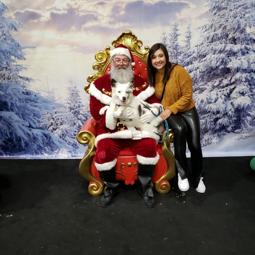 Gallery photo 3 of Riverwalk Santa