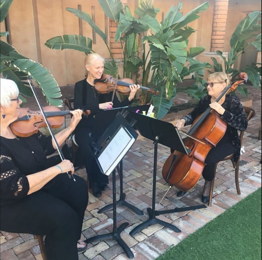 Gallery photo 2 of Riviera Strings
