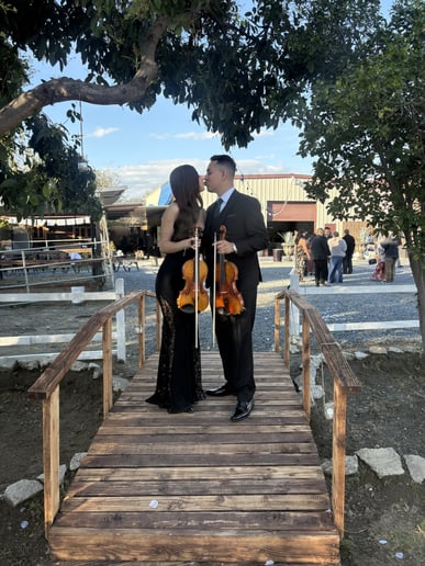 Gallery photo 5 of RJ Strings