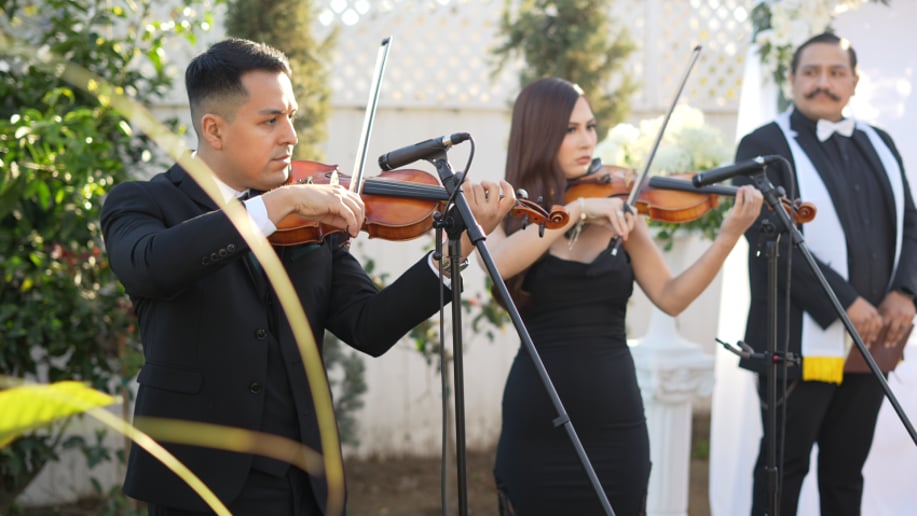 Gallery photo 2 of RJ Strings