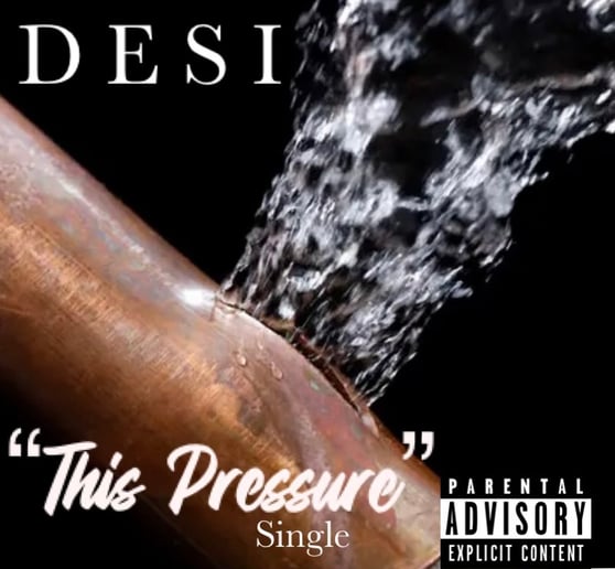 Gallery photo 2 of RnB/Hip Hop Artist