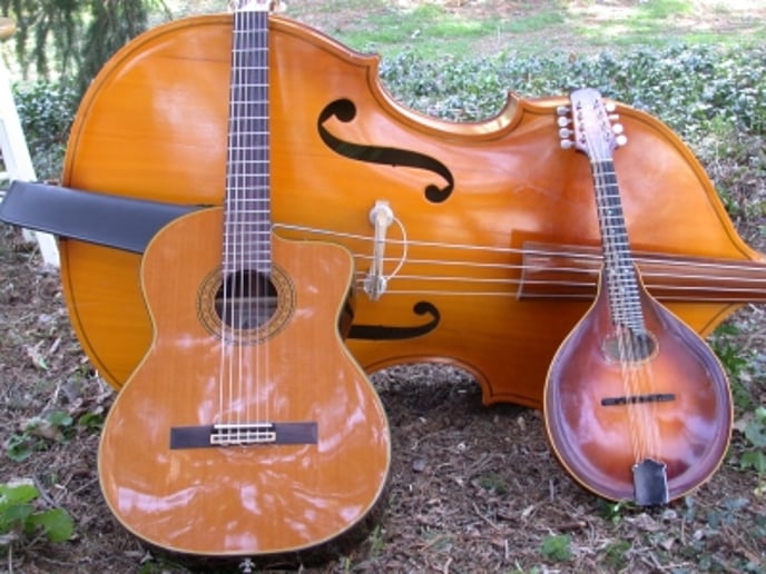 Gallery photo 1 of Bernstein Bard Trio