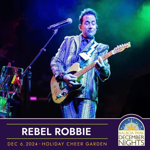 Gallery photo 8 of Rebel Robbie