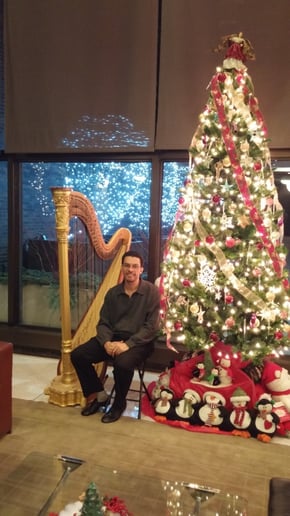Gallery photo 2 of Robert Turner: Harpist for Weddings, Holidays, Ceremonies, Orchestra