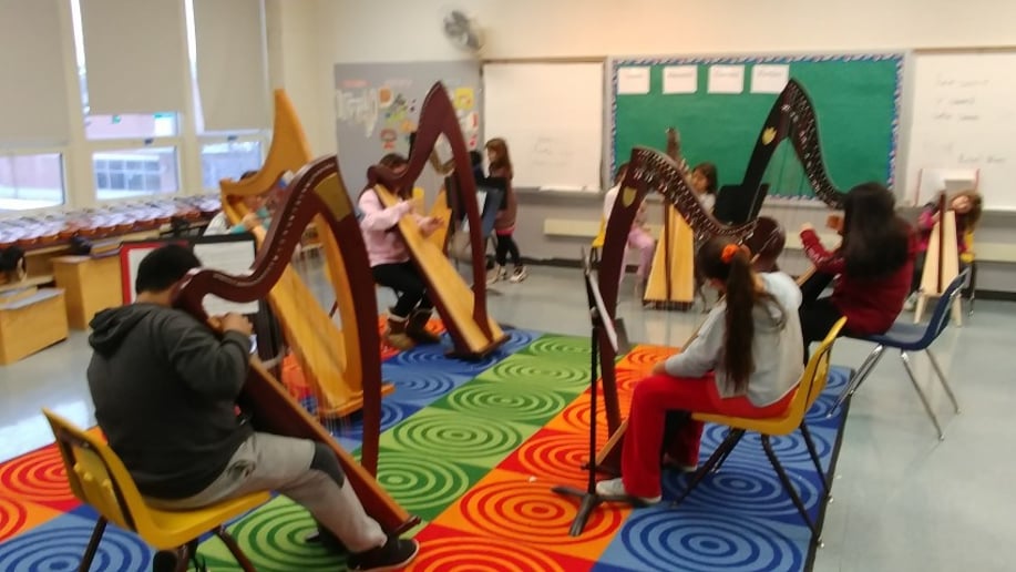 Gallery photo 9 of Robert Turner: Harpist for Weddings, Holidays, Ceremonies, Orchestra