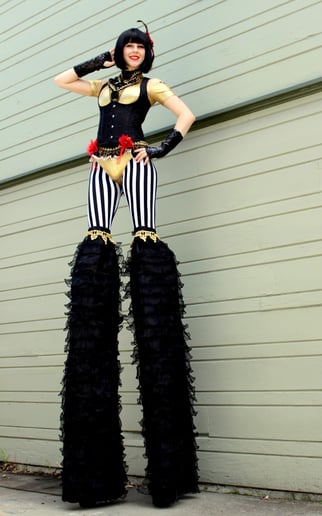 Gallery photo 6 of Robin Lara Circus Variety