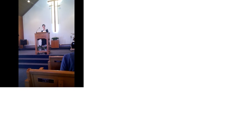 Gallery photo 1 of Robin Richards