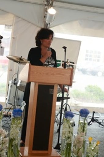 Gallery photo 10 of Robin Fox