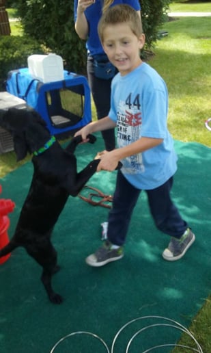 Gallery photo 9 of Robin's Dog Stars Animal Act