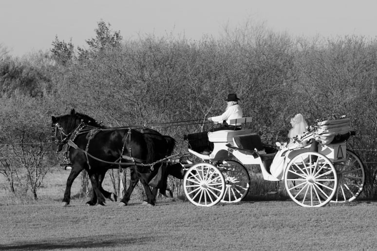 Gallery photo 8 of Rob's Photography