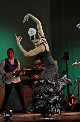 Gallery photo 6 of Rocio Conde Flamenco Dance