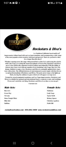 Gallery photo 1 of Rock Stars and Divas