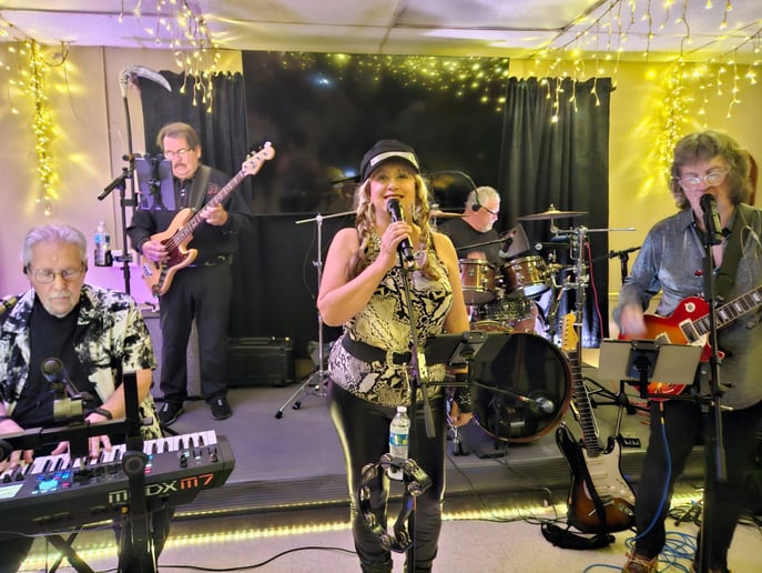 Gallery photo 6 of Rock the House Band
