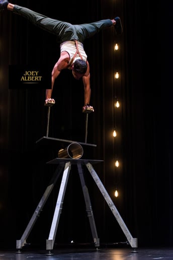 Gallery photo 3 of Joey Albert