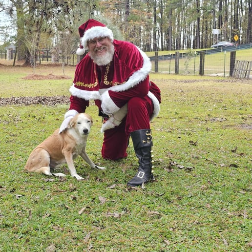 Gallery photo 9 of Rocking Rick St. Nick of the South