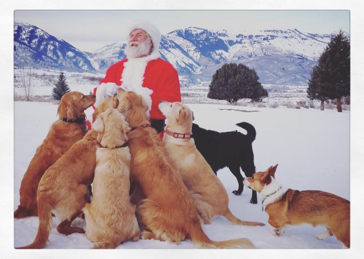 Gallery photo 3 of Rocky Mountain Santa