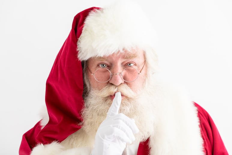 Gallery photo 4 of Rocky Mountain Santa