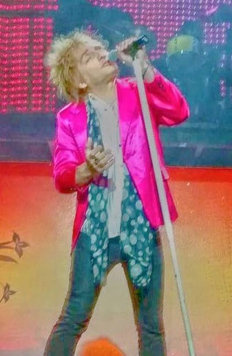 Gallery photo 1 of Rod Stewart Tribute Artist Vic Vaga