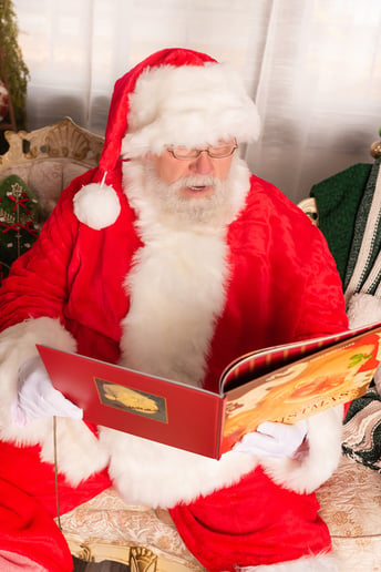 Gallery photo 7 of Roger Ray, Santa Claus
