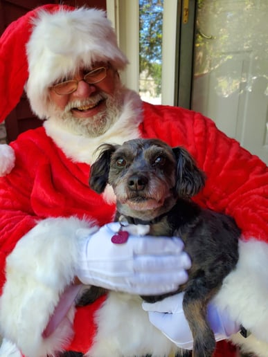 Gallery photo 18 of Roger Ray, Santa Claus