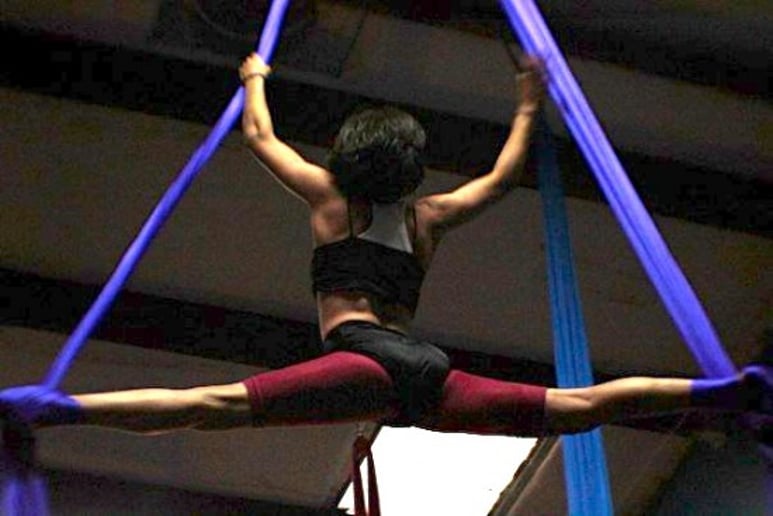Gallery photo 2 of Rohnert Park Aerial Arts