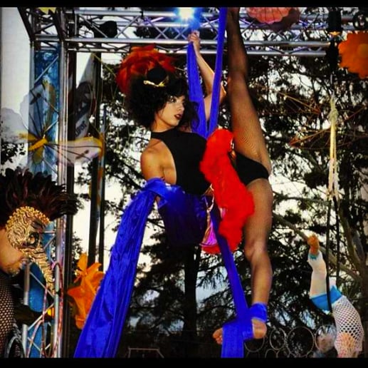 Gallery photo 1 of Rohnert Park Aerial Arts