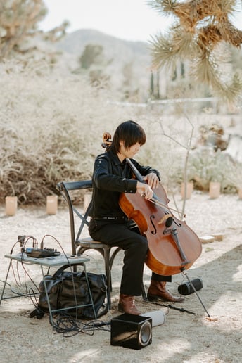 Gallery photo 5 of Romantic Cello