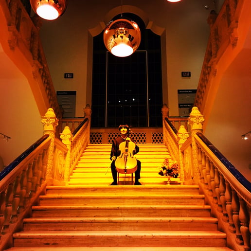 Gallery photo 13 of Romantic Cello