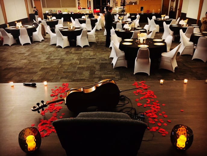 Gallery photo 22 of Romantic Cello