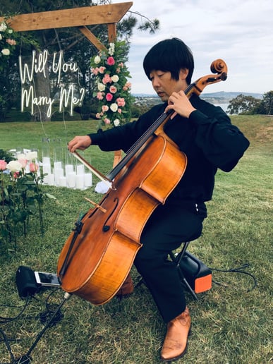 Gallery photo 34 of Romantic Cello