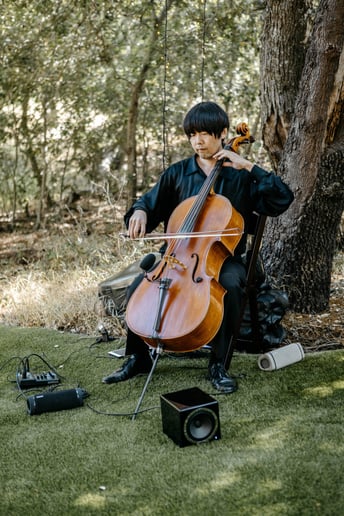 Gallery photo 35 of Romantic Cello