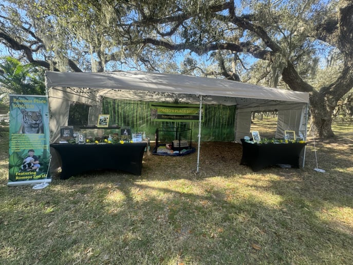 Gallery photo 1 of Romeo’s Zoo 2U