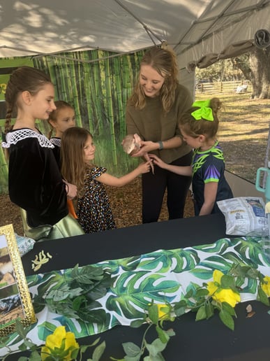 Gallery photo 3 of Romeo’s Zoo 2U
