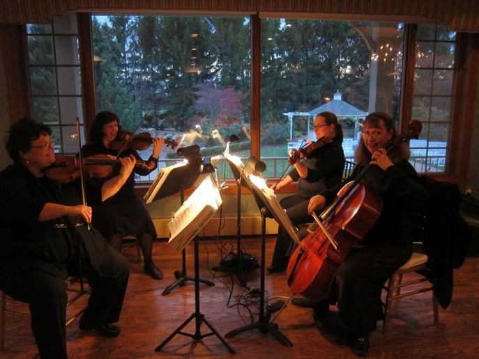 Gallery photo 8 of Rondo String Quartet
