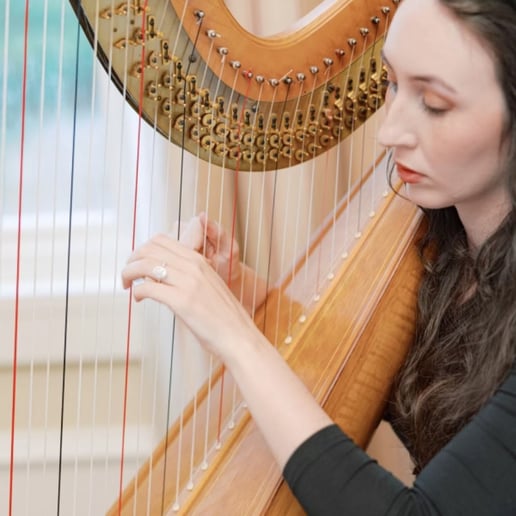 Gallery photo 2 of Rose Harp Studio