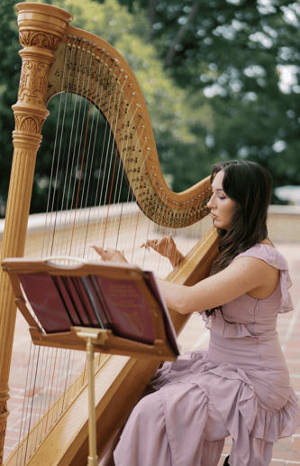 Gallery photo 3 of Rose Harp Studio