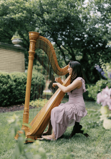 Gallery photo 7 of Rose Harp Studio