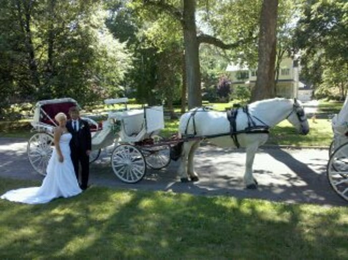 Gallery photo 2 of Rosewood Carriage Rides