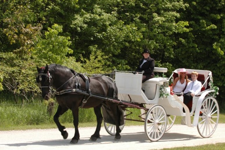 Gallery photo 3 of Rosewood Carriage Rides