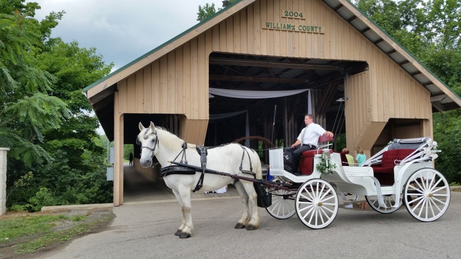 Gallery photo 4 of Rosewood Carriage Rides & Hearse Services