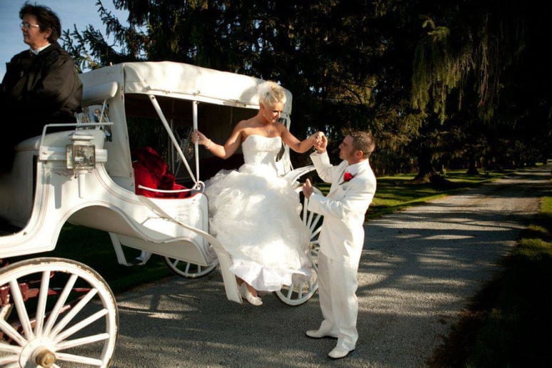Gallery photo 1 of Rosewood Carriage Rides & Hearse Services