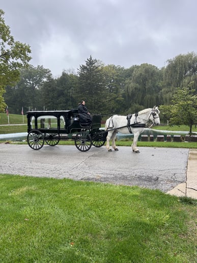Gallery photo 6 of Rosewood Carriage Rides & Hearse Services