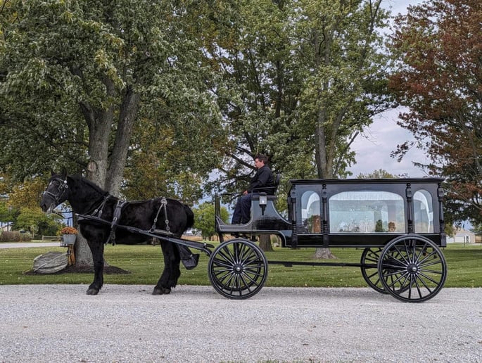 Gallery photo 7 of Rosewood Carriage Rides & Hearse Services