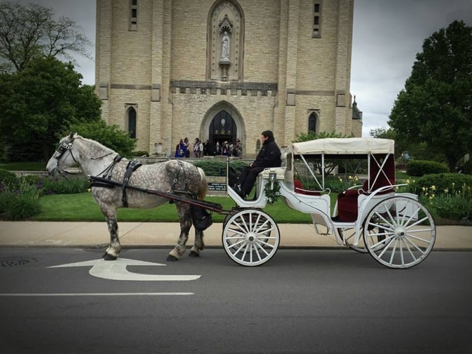 Gallery photo 5 of Rosewood Carriage Rides & Hearse Services