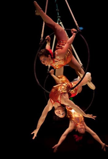 Gallery photo 6 of Rosie Bliss-Aerialist