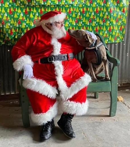 Gallery photo 9 of Roswell Santa